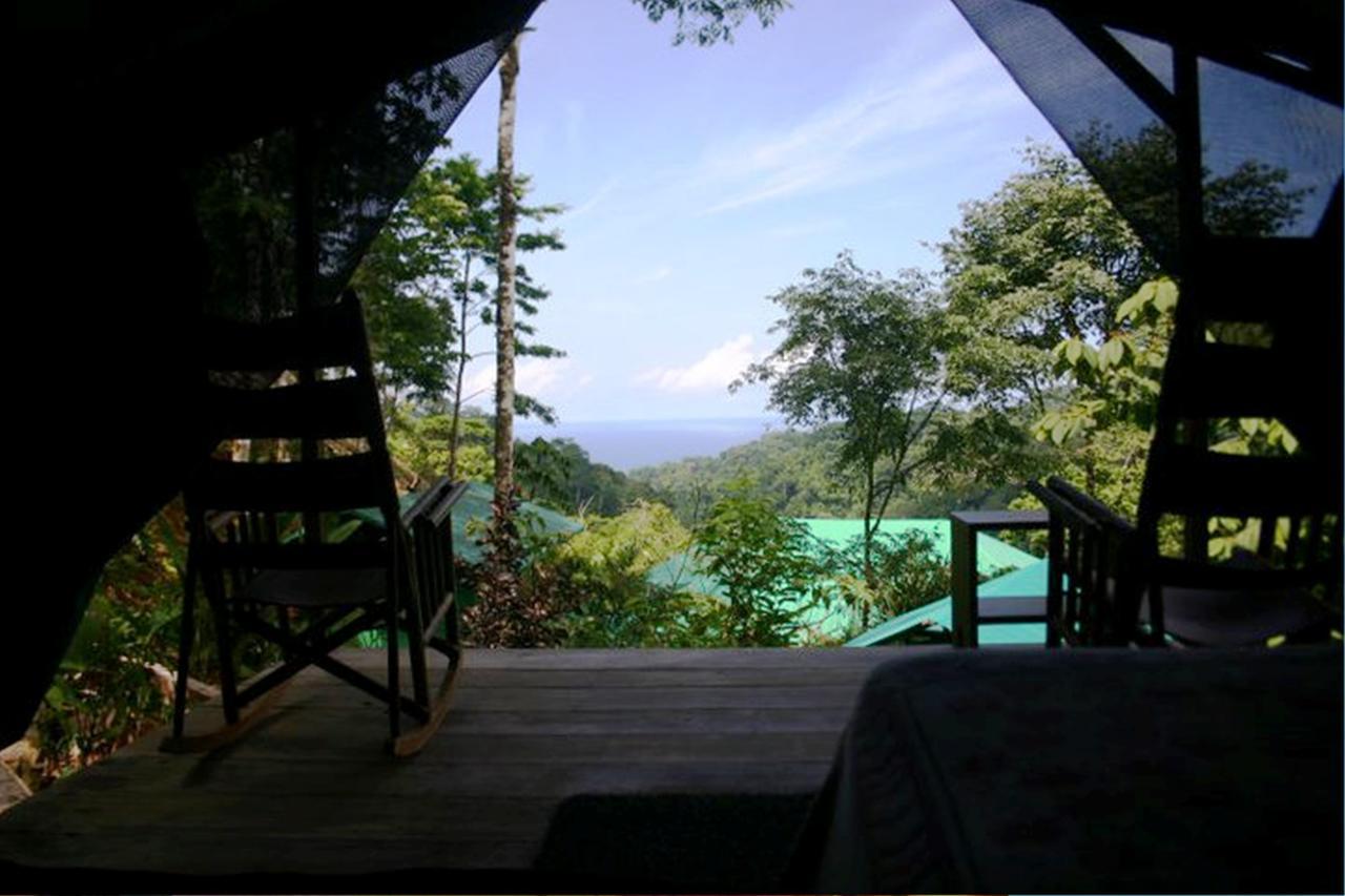 Luna Lodge Carate Habitación foto