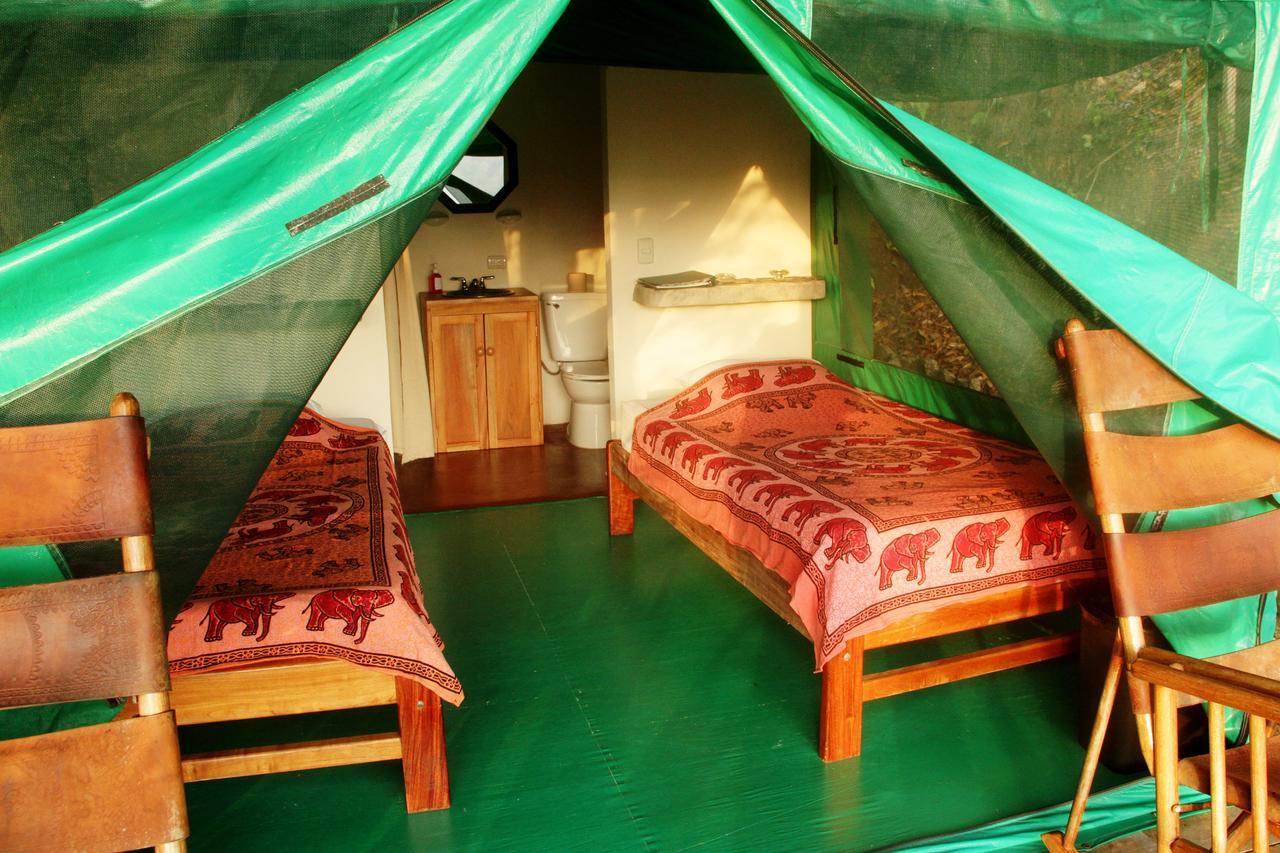 Luna Lodge Carate Habitación foto